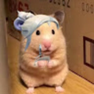 Meet your Posher, Noah